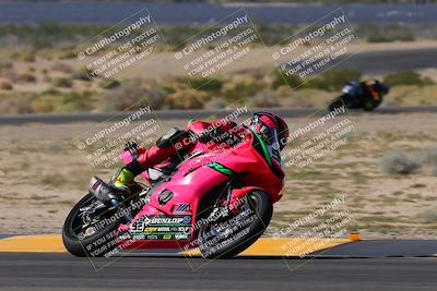 media/Oct-08-2023-CVMA (Sun) [[dbfe88ae3c]]/Race 2 Supersport Middleweight (Shootout)/